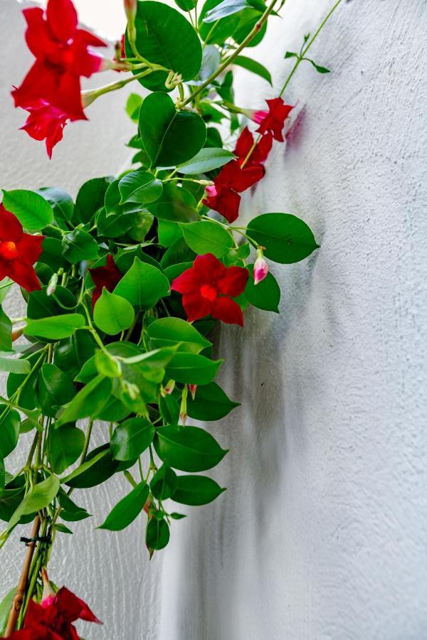 Antonella Home B&B Bari Kültér fotó